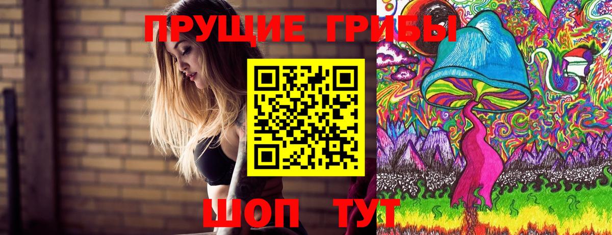Галлюциногенные грибы Psilocybe Новокузнецк